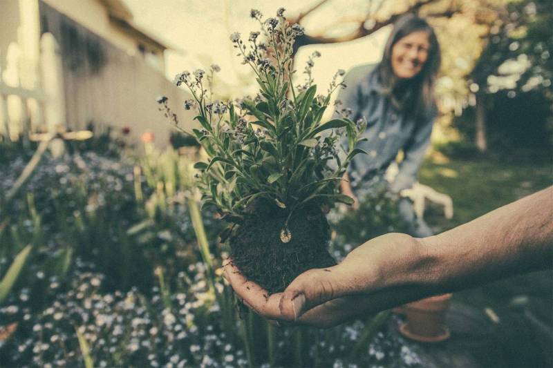 Préparez votre jardin pour un été éblouissant