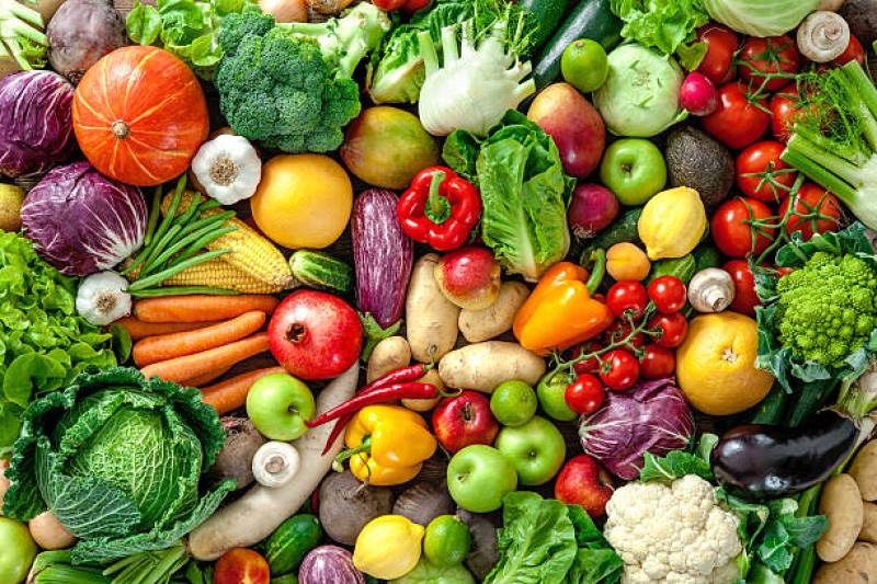 Préparer et aménager son potager d’été sur-mesure à Vence