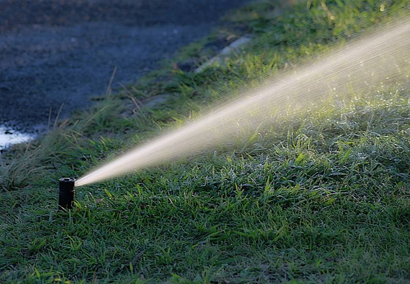 Économiser l’eau du jardin dans les Alpes-Maritimes