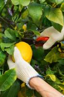 Nos prestations sur le secteur de Villefranche-sur-Mer en région PACA (06230)