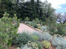 Nos prestations sur le secteur de Villeneuve-Loubet en Alpes-Maritimes (06270)