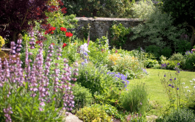 Préparez votre jardin pour un été éblouissant